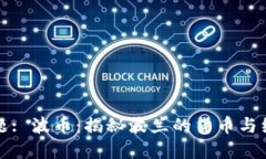 标题: 波币：揭秘波兰的货