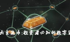 币圈十大主流币：投资者