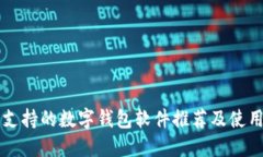 中国支持的数字钱包软件