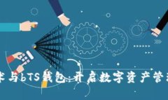 区块链技术与bTS钱包：开