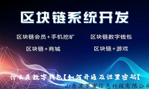 什么是数字钱包？如何开通及设置密码？