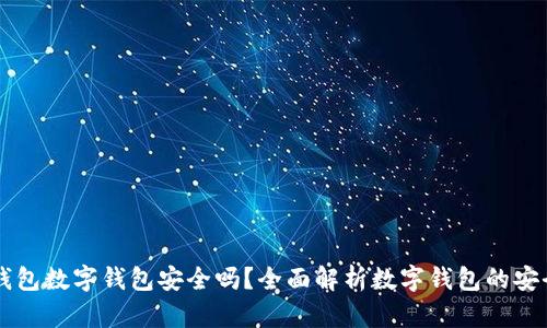 IM钱包数字钱包安全吗？全面解析数字钱包的安全性