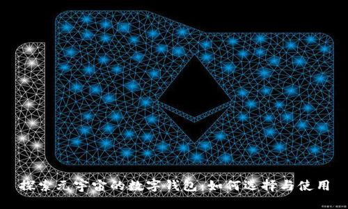 探索元宇宙的数字钱包：如何选择与使用