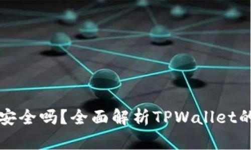 TPWallet安全吗？全面解析TPWallet的潜在风险