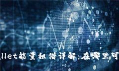 ### TPWallet能量租借详解：