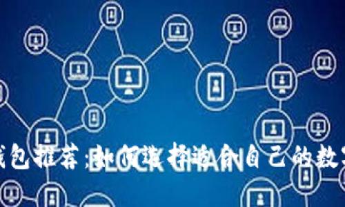 数字货币钱包推荐：如何选择适合自己的数字货币钱包