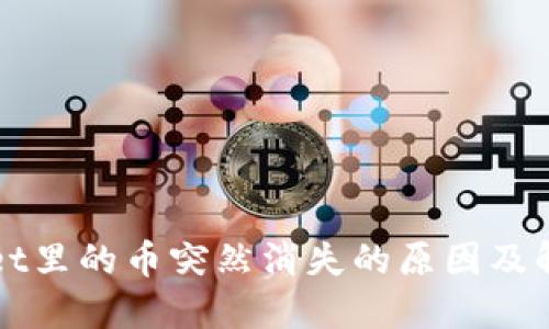 TPWallet里的币突然消失的原因及解决方法