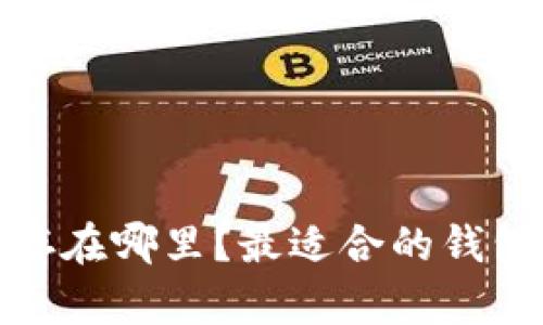 数字货币存在哪里？最适合的钱包类型详解