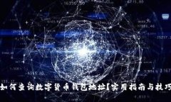 如何查询数字货币钱包地