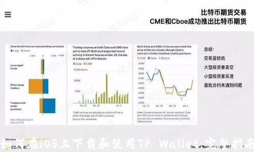 
如何在iOS上下载和使用TP Wallet：完整指南