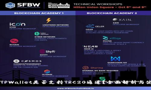 ### TPWallet是否支持TRC20通道？全面解析与使用指南