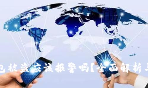 虚拟币钱包被盗应该报警吗？全面解析与应对措施