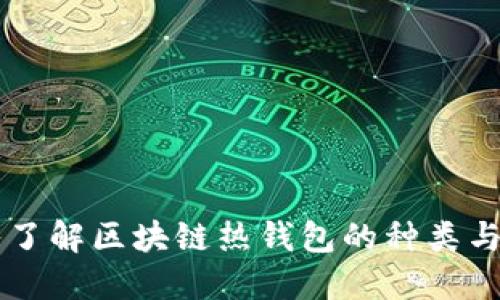 深入了解区块链热钱包的种类与应用