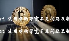 TPWallet 使用中的带宽不足