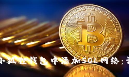 如何在小狐狸钱包中添加SOL网络：详细指南