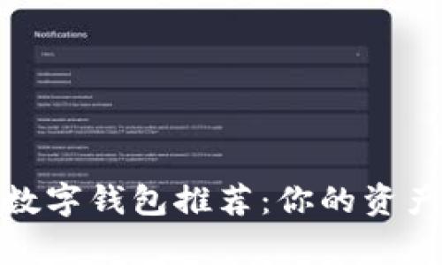 最优质的数字钱包推荐：你的资产保管专家