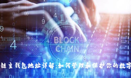区块链主钱包地址详解：如何管理和保护你的数字资产