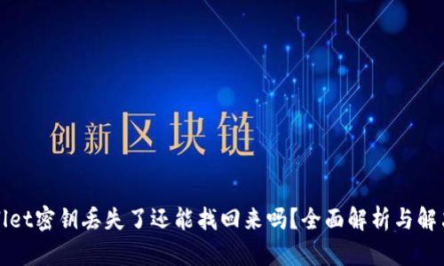TPWallet密钥丢失了还能找回来吗？全面解析与解决方案