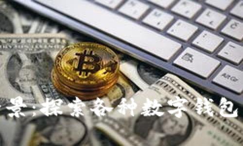 数字钱包的全景：探索各种数字钱包的类型与设计