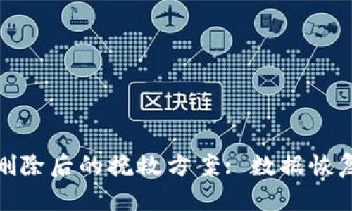TP身份钱包删除后的挽救方案: 数据恢复与预防措施