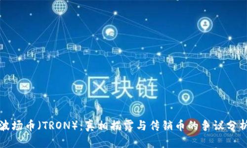 波场币（TRON）：真相揭露与传销币的争议分析