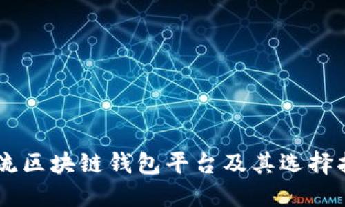 主流区块链钱包平台及其选择指南