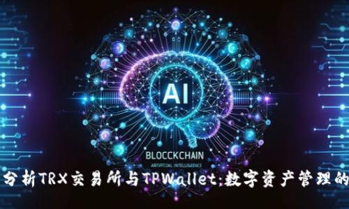 br

深入分析TRX交易所与TPWallet：数字资产管理的未来