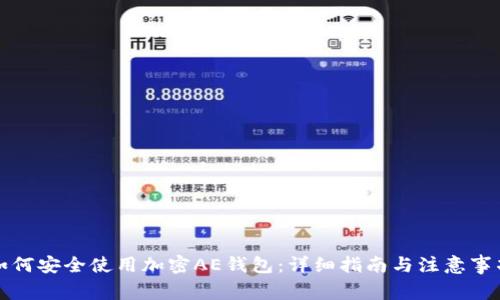 如何安全使用加密AE钱包：详细指南与注意事项