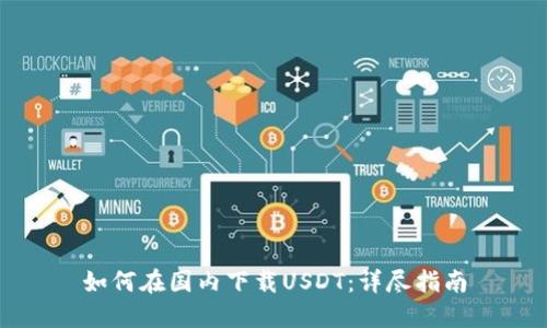 如何在国内下载USDT：详尽指南