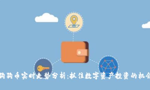 狗狗币实时走势分析：抓住数字资产投资的机会