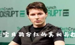 TPWallet：宝贝狗分红的真相