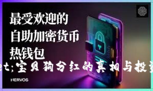 TPWallet：宝贝狗分红的真相与投资者指南