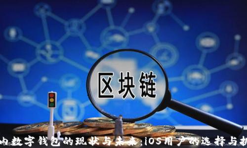 
国内数字钱包的现状与未来：iOS用户的选择与挑战