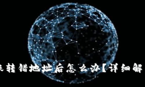 TPWallet转账转错地址后怎么办？详细解析与解决方案
