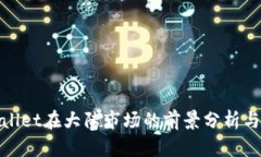 tpwallet在大陆市场的前景分