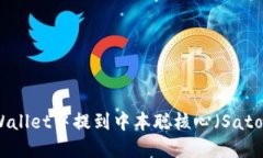 如何在TPWallet中提到中本聪