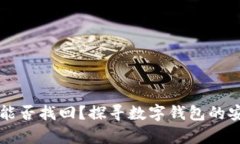 TPWallet删除后能否找回？探