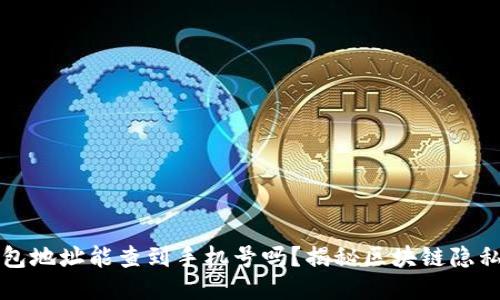 区块链钱包地址能查到手机号吗？揭秘区块链隐私保护机制