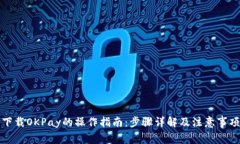 下载OKPay的操作指南：步骤