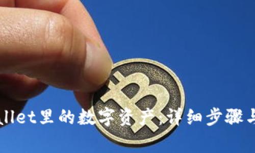 如何找回TPWallet里的数字资产：详细步骤与常见问题解析
