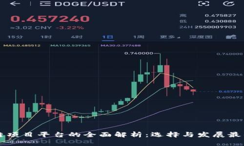 区块链项目平台的全面解析：选择与发展最佳实践