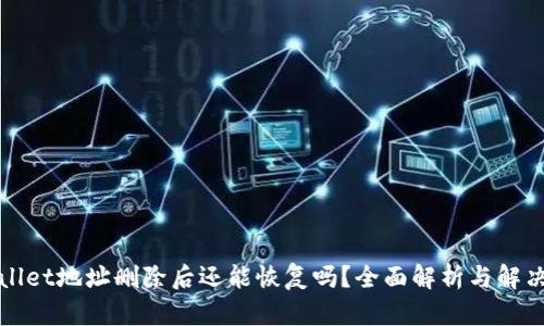 TPWallet地址删除后还能恢复吗？全面解析与解决方案