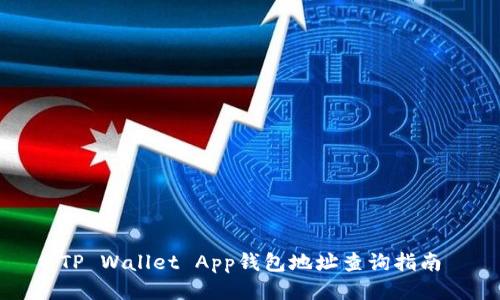 TP Wallet App钱包地址查询指南
