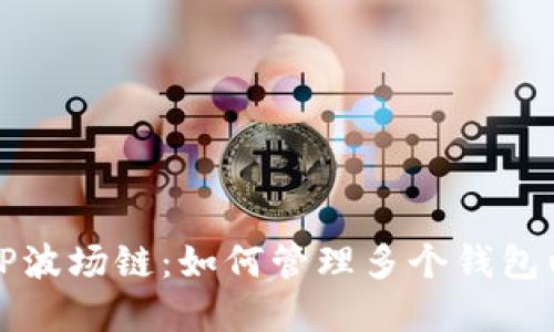 深入了解TP波场链：如何管理多个钱包以资产安全