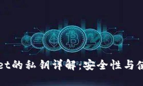 TPWallet的私钥详解：安全性与使用指南