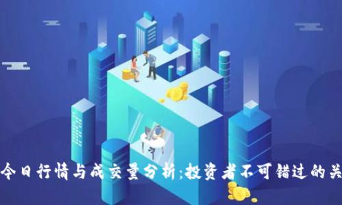 瑞波币今日行情与成交量分析：投资者不可错过的关键数据
