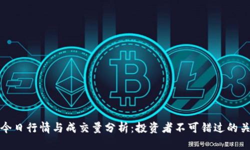 瑞波币今日行情与成交量分析：投资者不可错过的关键数据