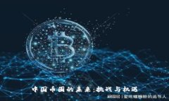 中国币圈的未来：挑战与