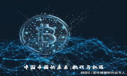 中国币圈的未来：挑战与机遇