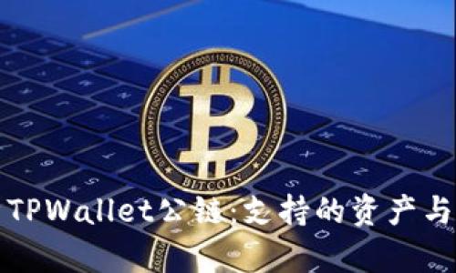 全面解析TPWallet公链：支持的资产与应用生态